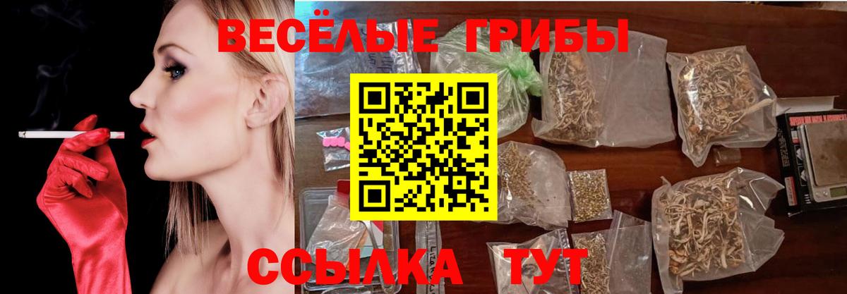 Галлюциногенные грибы Psilocybine cubensis Каменск-Шахтинский