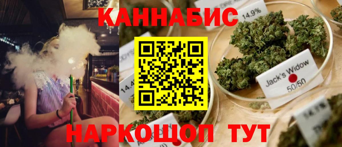 Каменск-Шахтинский  Бошки марихуана гибрид  Вход с VPN  Бошки марихуана тримм  Бошки марихуана сатива 